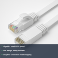 Cat6 Flat Ethernet Cable - studio photo with benefit highlights